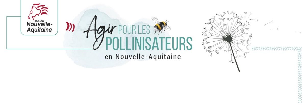 La Pollinisation Agir Pour Les Pollinisateurs En Nouvelle Aquitaine