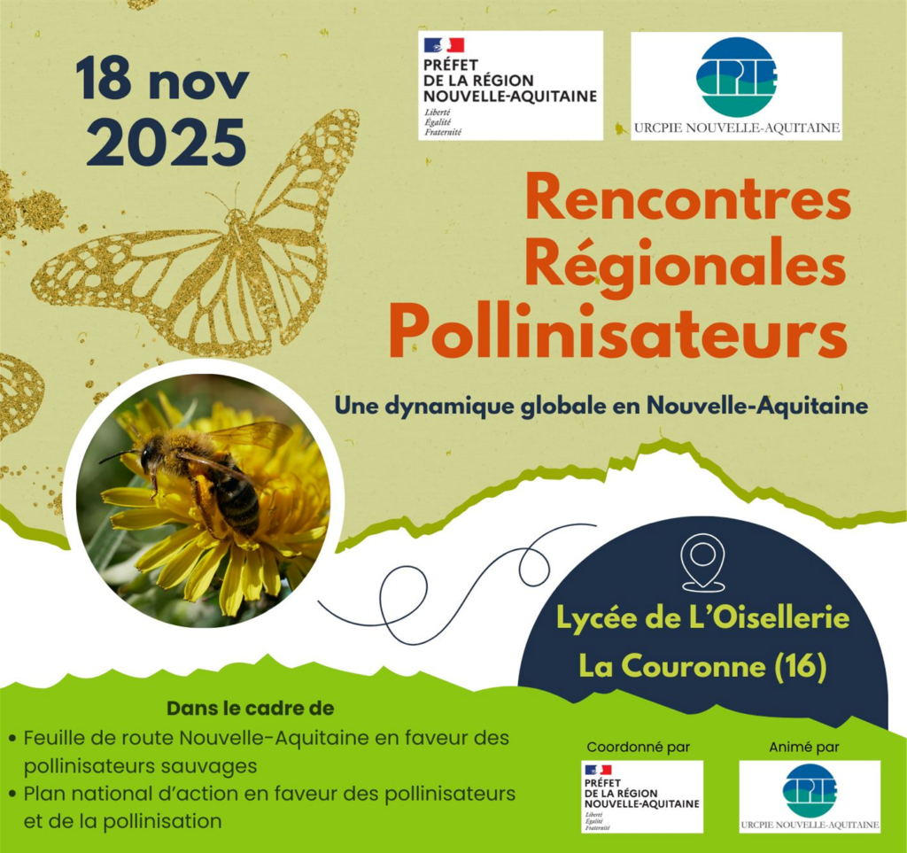 Affichette RRP Canva