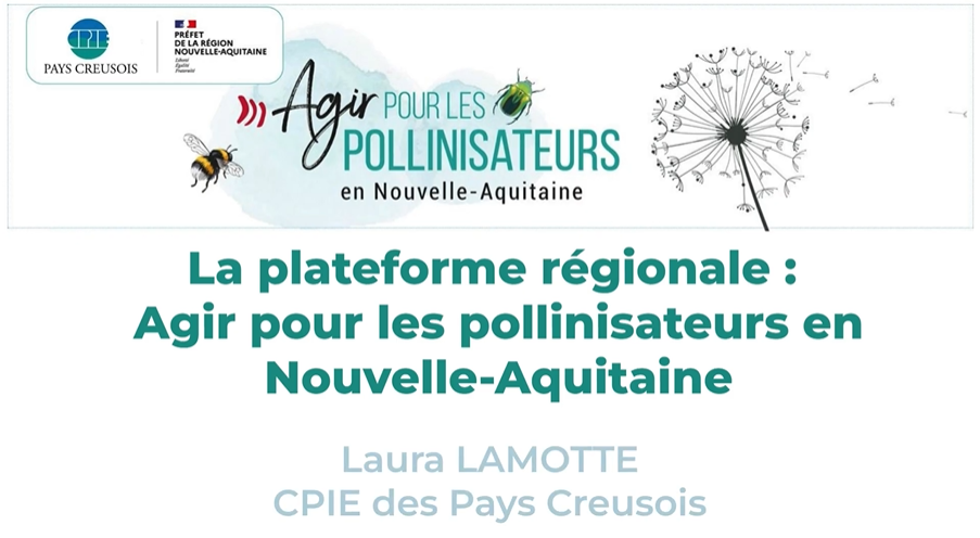 Opera Instantane 2025 12 11 111526 www.youtube.com