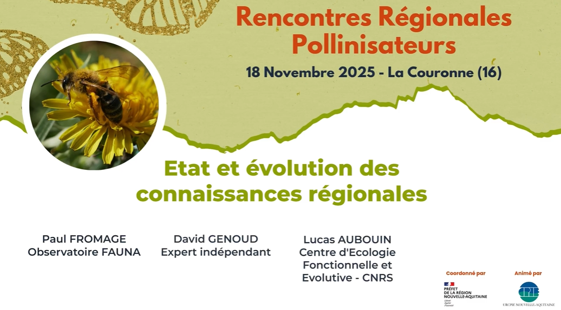 Etat et évolution des connaissances régionales présenté par Paul Fromage de l'observatoire Fauna, David Genoud expert indépendant et Lucas Aubouin du Centre d'écologie focntionnelle et évolutive - CNRS