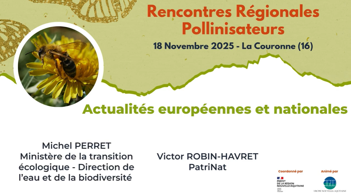 Actualités européennes et nationales pollinisateurs présentées par Michel PERRET du Ministère de la Transition Ecologique - Direction de l'eau et de la biodiversité et Victor ROBIN-HAVRET de PatriNat