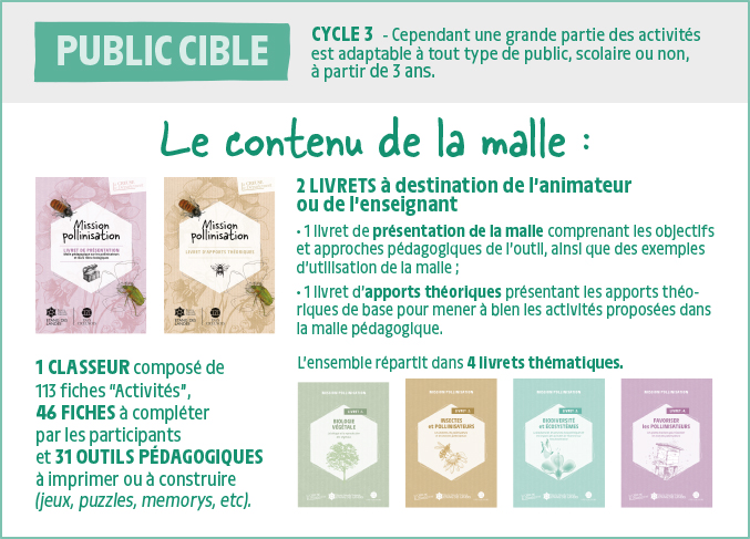 le contenu de la malle